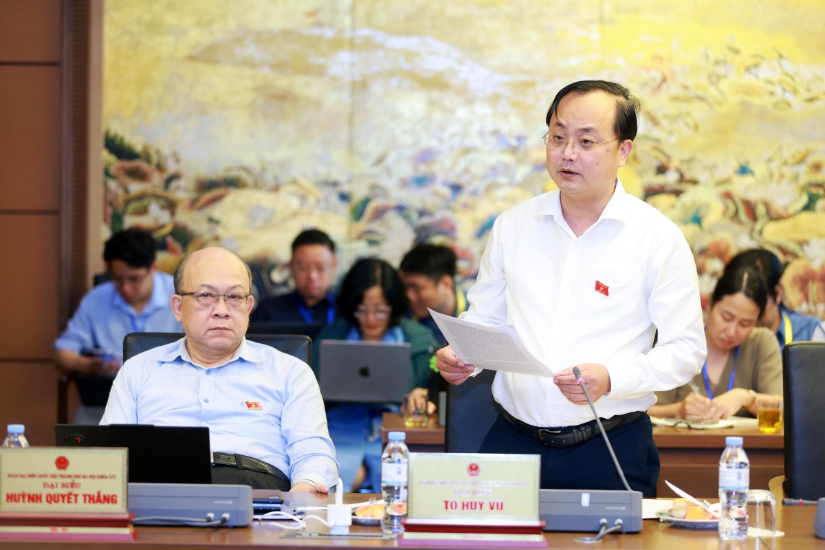 Đại biểu Quốc hội: Cần làm rõ đối tượng chịu thuế đất bỏ hoang