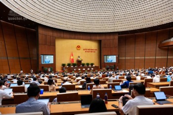 Quốc hội thảo luận sửa đổi Luật Đầu tư, Luật Bảo vệ môi trường