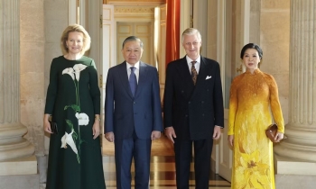 Tổng Bí thư, Chủ tịch nước Tô Lâm hội kiến Nhà vua Bỉ Philippe