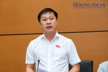Đại biểu Quốc hội: Mức phạt vi phạm giao thông hiện đã rất cao