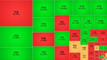 VN-Index tăng gần 5 điểm, cổ phiếu DGW giảm sàn dù lãi quý 3 tăng mạnh