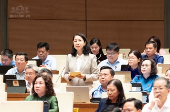 ĐBQH: Tạo điều kiện để hàng triệu 'chim sẻ của nền kinh tế' phát triển
