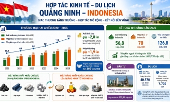 Xuất khẩu của Quảng Ninh sang Indonesia tăng gần 3 lần sau 5 năm