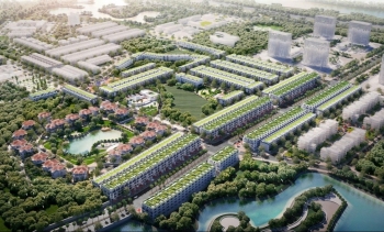 Cổ phiếu KOS được 'giải cứu' sau gần một tháng giảm sàn