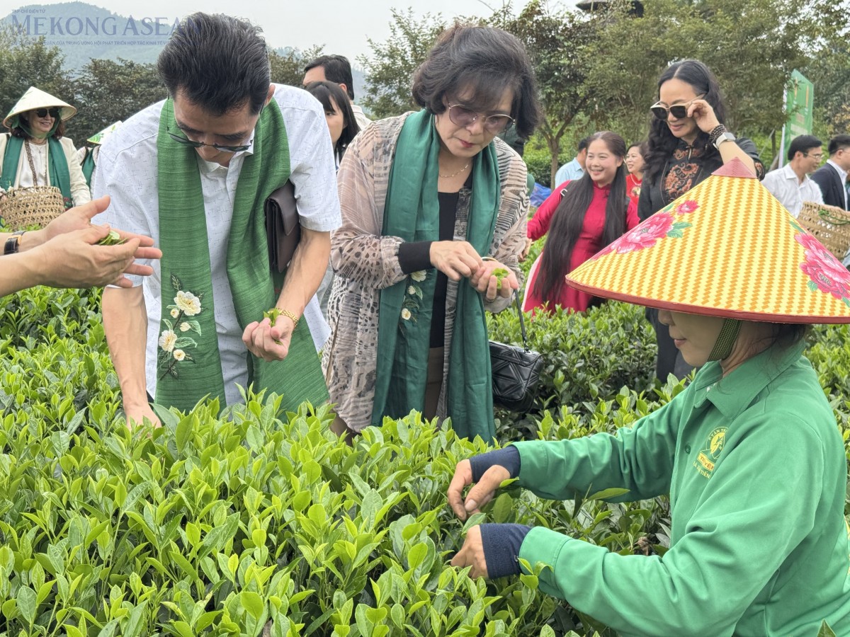 Chuyến tàu Di sản đưa văn hóa trà Thái Nguyên đến gần bạn bè quốc tế. Ảnh: Ngọc Linh