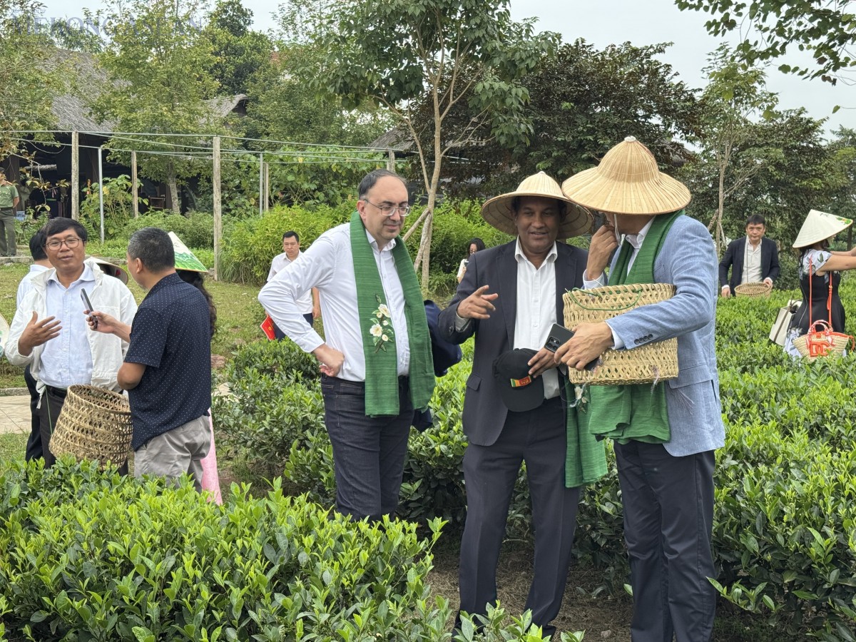 Chuyến tàu Di sản đưa văn hóa trà Thái Nguyên đến gần bạn bè quốc tế. Ảnh: Ngọc Linh