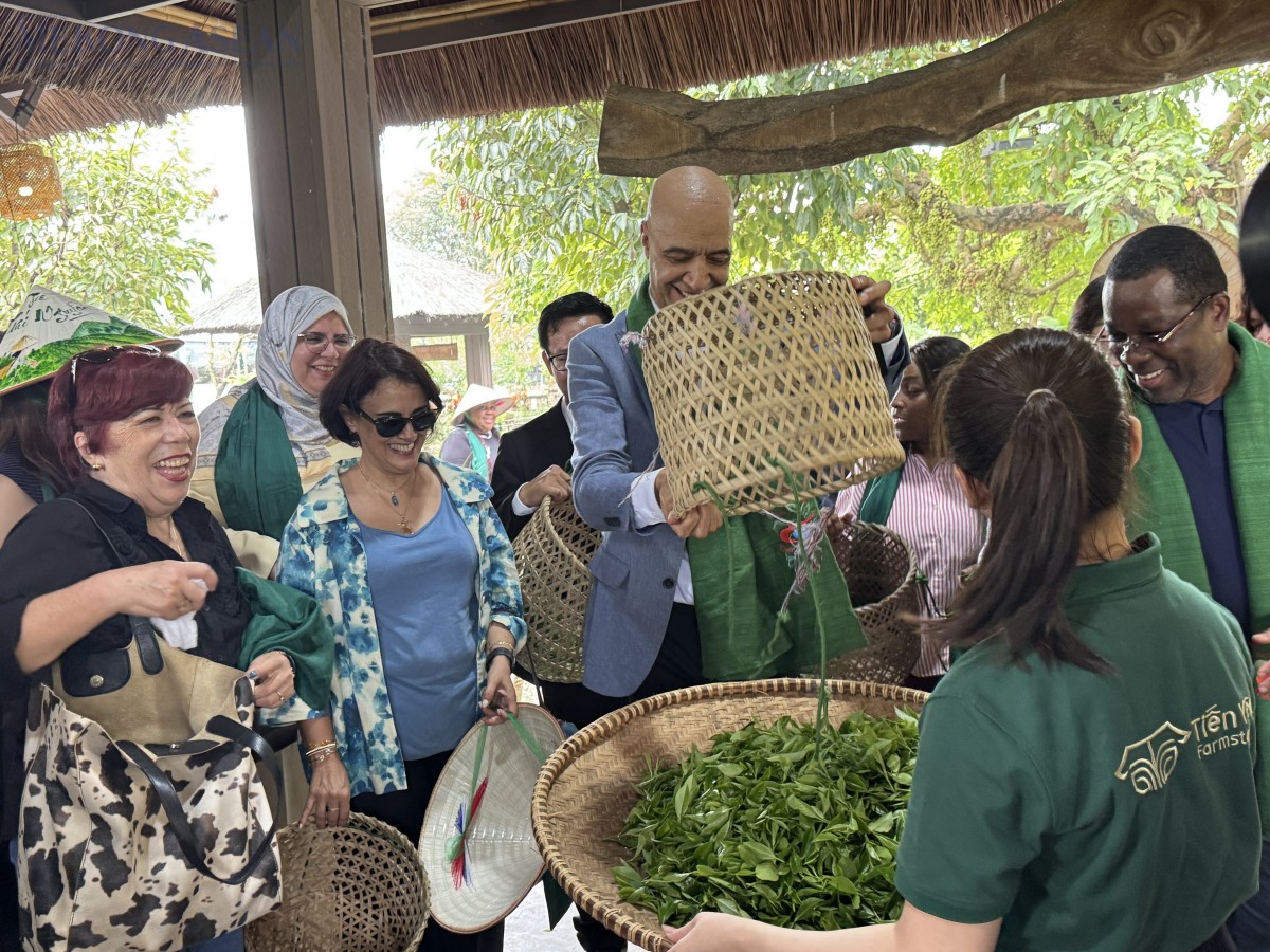 Chuyến tàu Di sản đưa văn hóa trà Thái Nguyên đến gần bạn bè quốc tế. Ảnh: Ngọc Linh