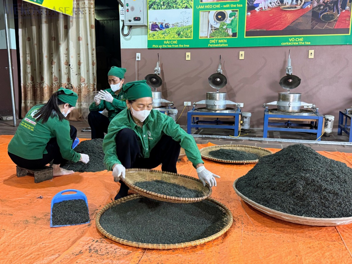 Chuyến tàu Di sản đưa văn hóa trà Thái Nguyên đến gần bạn bè quốc tế. Ảnh: Ngọc Linh