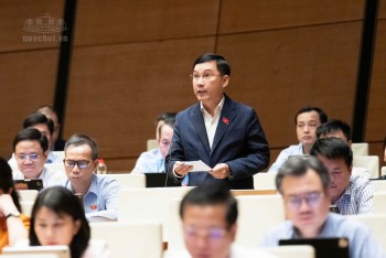 Đại biểu Quốc hội: 