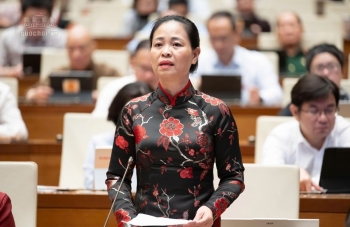'Thị trường dư thừa cử nhân các ngành kinh tế mang tính lý thuyết'