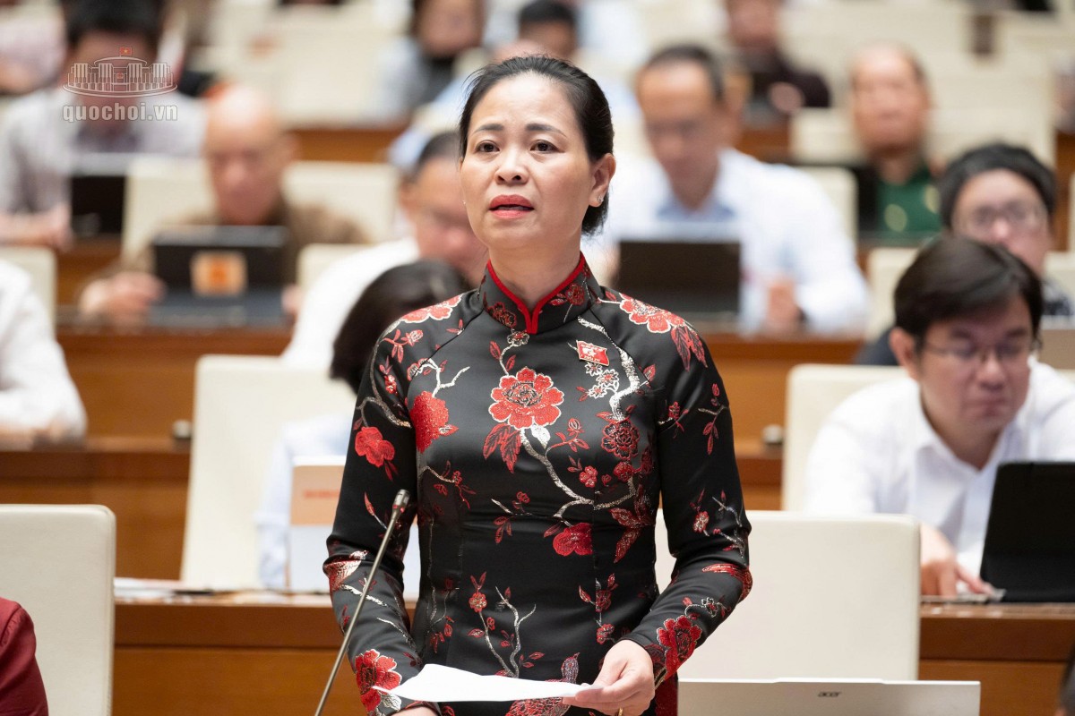 'Thị trường dư thừa cử nhân các ngành kinh tế mang tính lý thuyết'