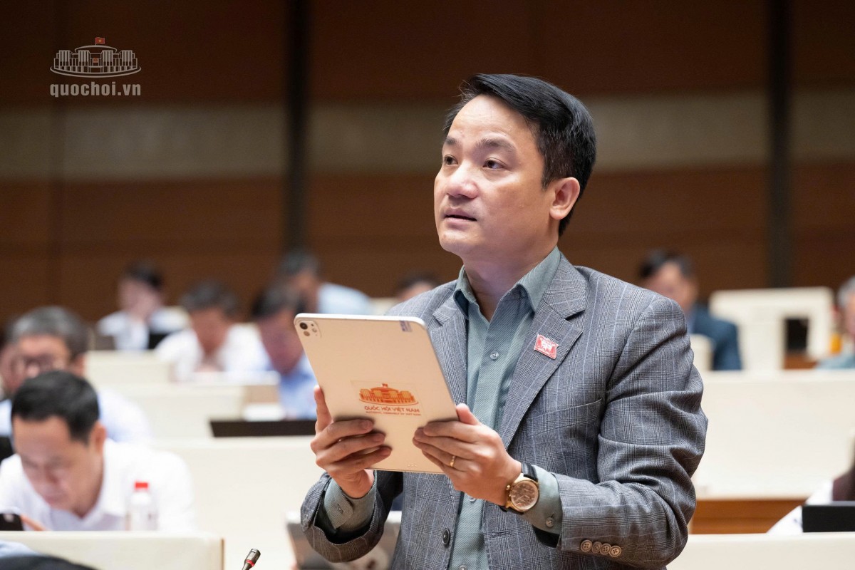'Thị trường dư thừa cử nhân các ngành kinh tế mang tính lý thuyết'