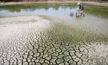 Chủ động ứng phó với các loại hình thiên tai do ảnh hưởng của El Nino