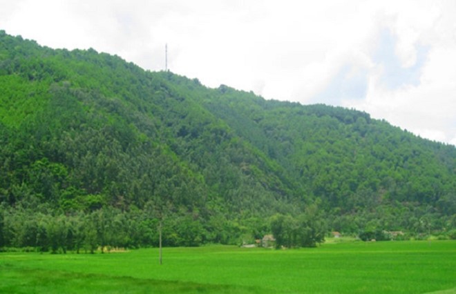 Khu vực T&acirc;y Nam n&uacute;i Linh Trường, huyện Hoằng H&oacute;a, tỉnh Thanh H&oacute;a