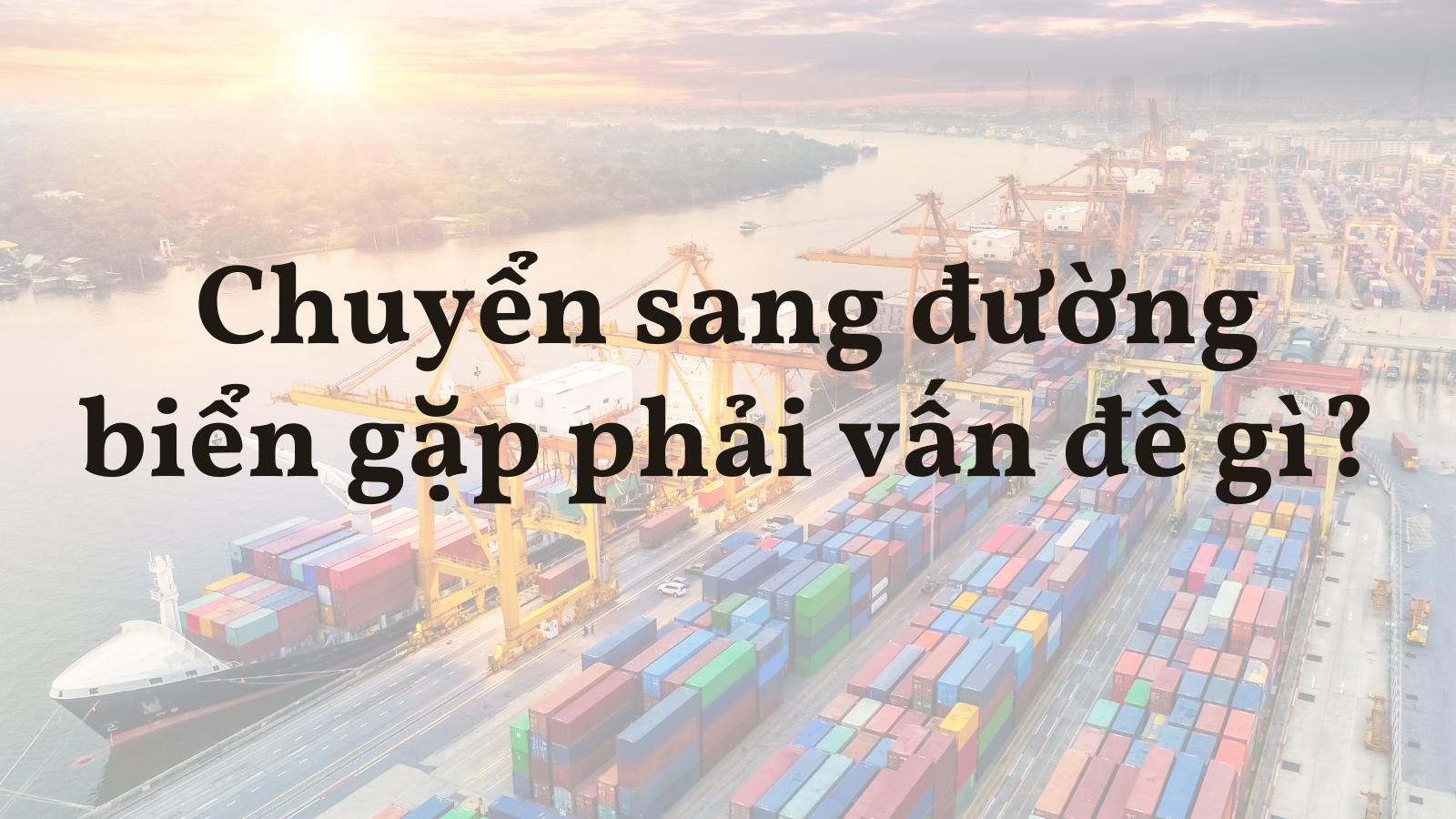 Đã đến lúc nông sản Việt cần chuyển từ 'đi bộ sang tập bơi'