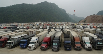 Triển khai ứng dụng cảnh báo về ùn tắc tại các cửa khẩu