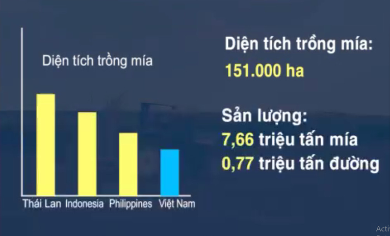 Muốn cứu ngành mía đường cần có trọng tài 'biết chia đều'