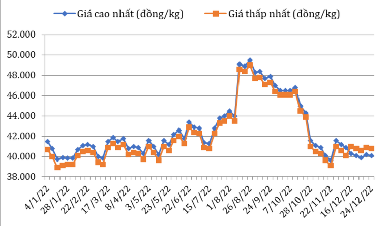 Diễn biến gi&aacute; c&agrave; ph&ecirc; Robusta tại thị trường nội địa trong năm 2022. Ảnh: Bộ C&ocirc;ng Thương