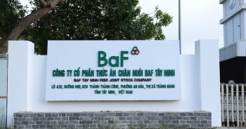 Công ty của ông Trương Sỹ Bá mua thành công hơn 4,5 triệu cổ phiếu BAF