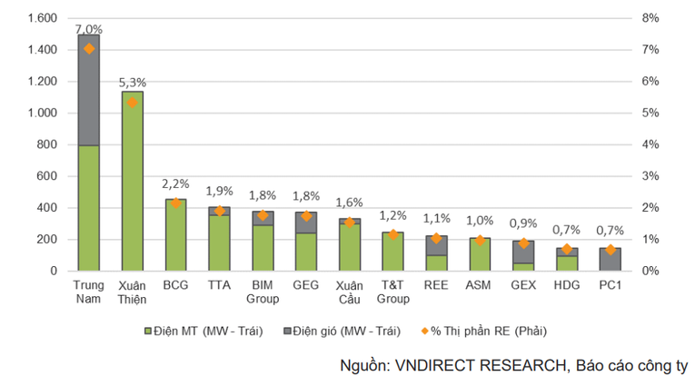 Cơ cấu mảng kinh doanh v&agrave; thị phần của c&aacute;c doanh nghiệp điện năng lượng t&aacute;i tạo.