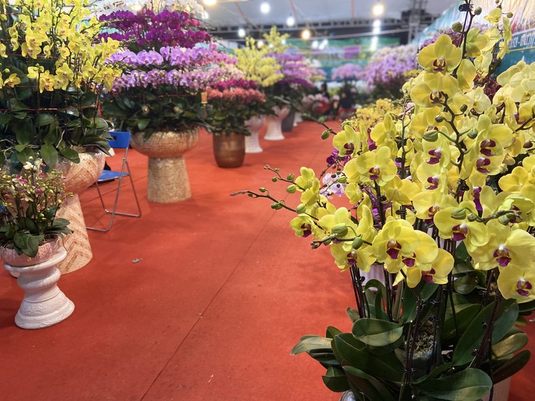 Ảnh Phương Thảo.