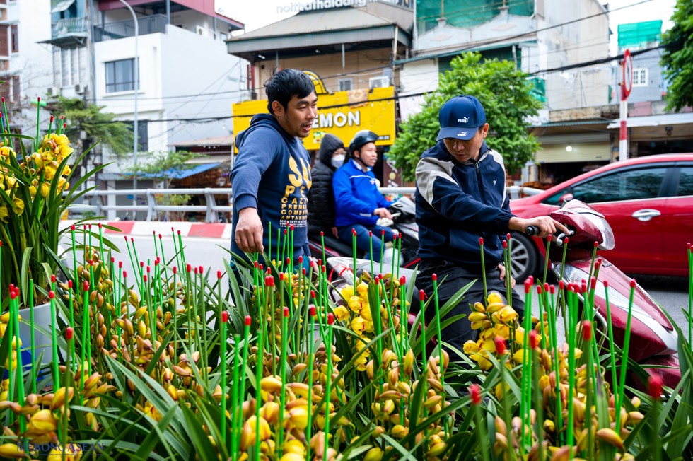 Ngo&agrave;i những loại c&acirc;y đ&atilde; quen thuộc như đ&agrave;o quất một số loại hoa đẹp, lạ cũng được mọi người ch&uacute; &yacute;.