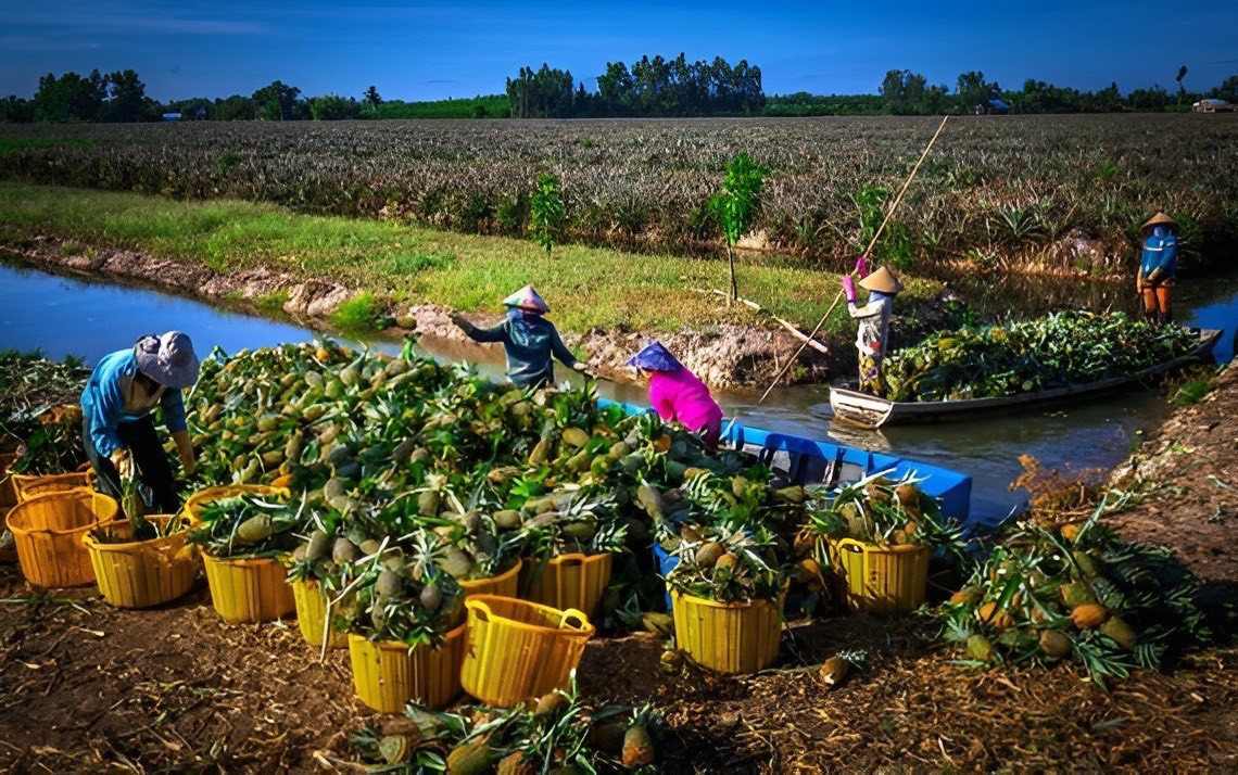 Đưa chợ về đồng. Ảnh: Internet