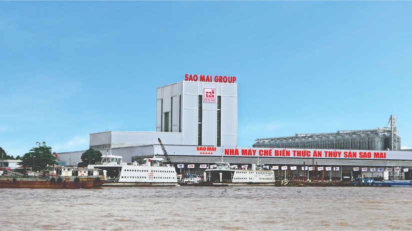 Xuất khẩu thuận lợi, doanh thu Sao Mai tăng 20% năm 2022