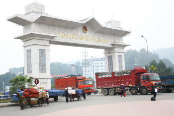 Lào Cai khai xuân 355 tấn hàng nông sản sang Trung Quốc