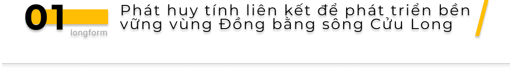 Đồng Tháp tạo sức mạnh phát triển bằng sự liên kết vùng