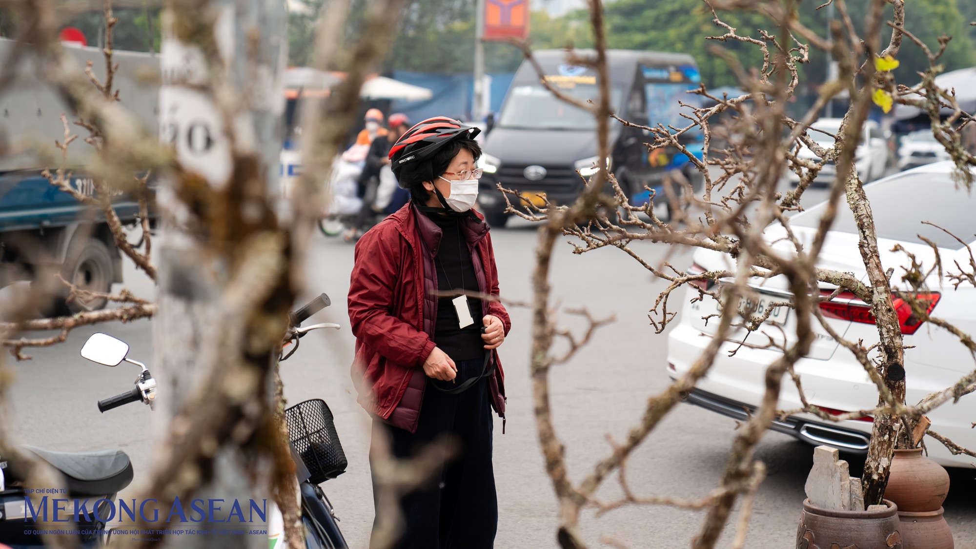 Chọn được c&agrave;nh hoa ưng &yacute;, c&ocirc; H.T chia sẻ, năm n&agrave;o c&ocirc; cũng mua hoa trước Tết. Gần tết, nhiều người b&aacute;n hơn th&igrave; chắc gi&aacute; sẽ mềm hơn, nhưng những c&agrave;nh đ&agrave;o bung nở sớm, khi mua về phải cả th&aacute;ng mới t&agrave;n, l&uacute;c đ&oacute; vừa kịp đ&oacute;n Tết, t&iacute;nh ra vậy lại rất kinh tế.