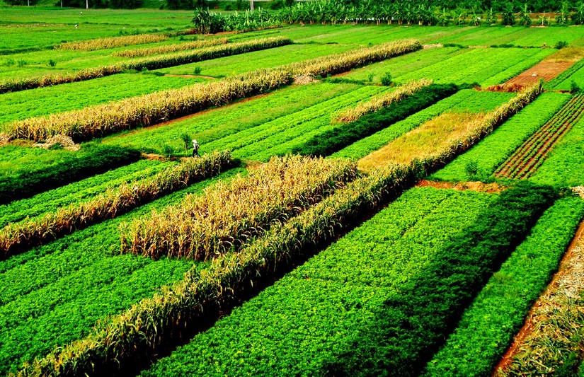 Ảnh minh họa: Sở VH&amp;amp;amp;TTDL tỉnh Th&aacute;i B&igrave;nh