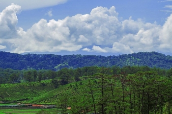 Lâm Đồng: Công nhận điểm du lịch Vườn Quốc gia Bidoup - Núi Bà