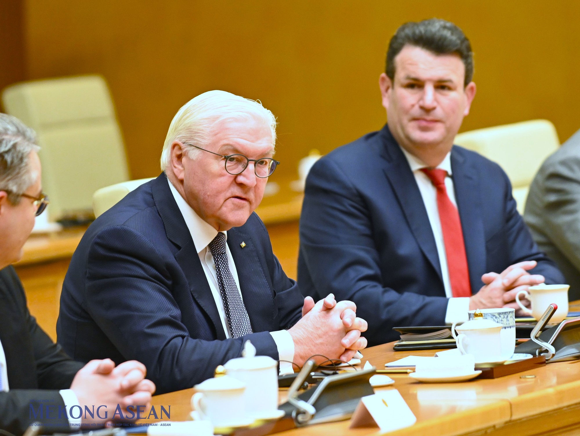 Tổng thống Đức Frank-Walter Steinmeier ph&aacute;t biểu tại buổi hội kiến. Ảnh: Đỗ Thảo