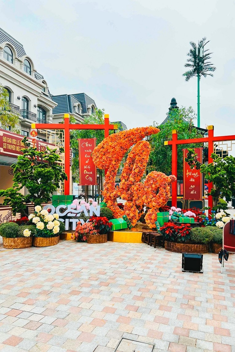 Những g&oacute;c hoa Tết rực rỡ dự b&aacute;o trở th&agrave;nh điểm check-in du xu&acirc;n ngập tr&agrave;n mạng x&atilde; hội.