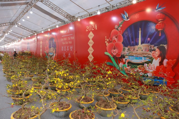 Khai màn 'Chợ Tết Phố Hội' phía Đông Thủ đô