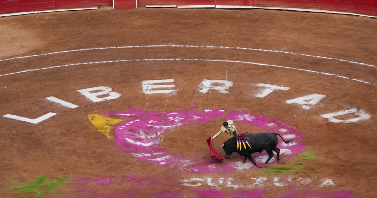 Tranh cãi kéo dài liên quan tới đấu bò tại Mexico