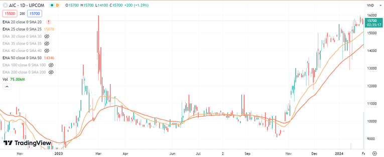 Cổ phiếu AIC vẫn đang trong đ&agrave; tăng k&eacute;o d&agrave;i từ cuối th&aacute;ng 10 tới nay. Ảnh: TradingView