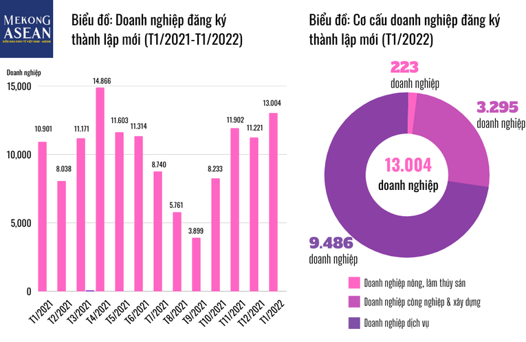 Bức tranh doanh nghiệp tháng 1/2022 tiếp tục khởi sắc