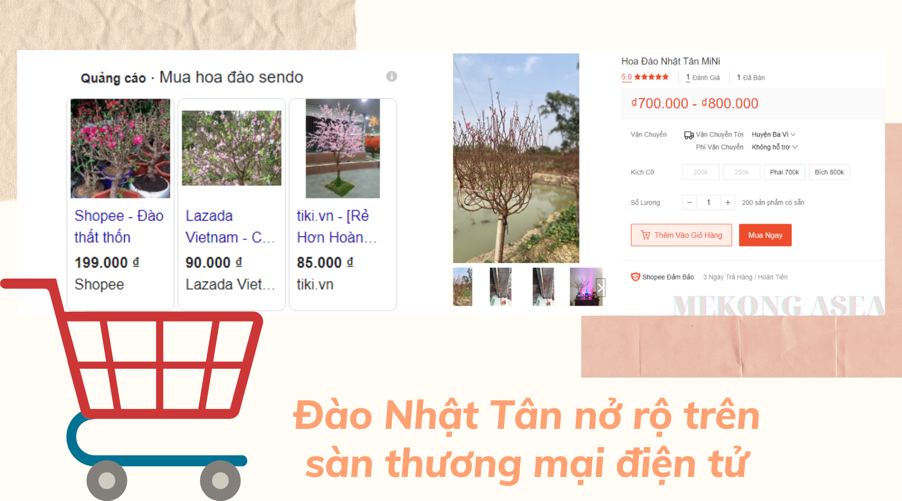 Nghề 'đánh bạc với ông trời' ở Nhật Tân: Được mùa mà vẫn buồn
