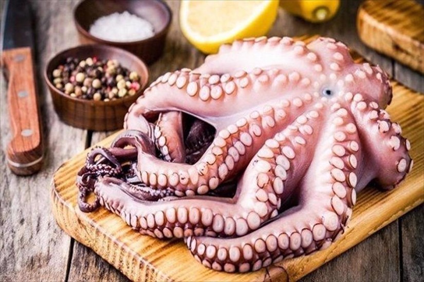 Việt Nam vẫn l&agrave; nguồn cung mực, bạch tuộc h&agrave;ng đầu cho H&agrave;n Quốc