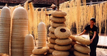 Số hợp tác xã tại Việt Nam tăng 2,5 lần sau 20 năm