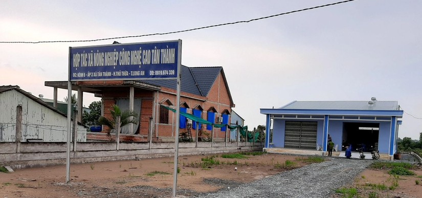 Phần lớn HTX c&oacute; quy m&ocirc; nhỏ v&agrave; si&ecirc;u nhỏ. Ảnh: Li&ecirc;n minh HTX Việt Nam.