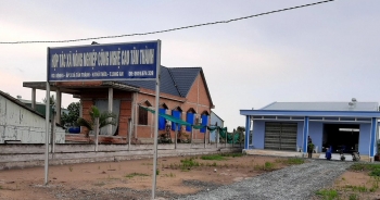 Xóa điểm nghẽn sản xuất manh mún để nâng tính cạnh tranh cho nông nghiệp