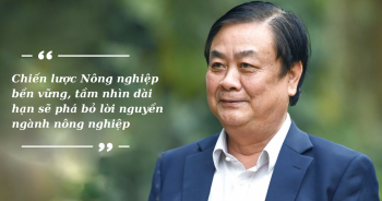 Chiến lược dài hạn phá bỏ 'lời nguyền manh mún' của ngành nông nghiệp