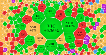 VN30 giảm mạnh, NVL bứt phá sau tin ông Bùi Thành Nhơn trở lại