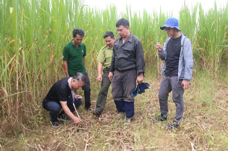 Đo&agrave;n c&ocirc;ng t&aacute;c của KMFCC gi&aacute;m s&aacute;t, đ&aacute;nh gi&aacute; c&aacute;c hoạt động của Dự &aacute;n &ldquo;Bảo tồn v&agrave; ph&aacute;t triển t&agrave;i nguy&ecirc;n đa dạng sinh học c&aacute;c hệ sinh th&aacute;i rừng Vườn quốc gia C&aacute;t Ti&ecirc;n, c&oacute; kinh ph&iacute; hơn 1,2 triệu USD.