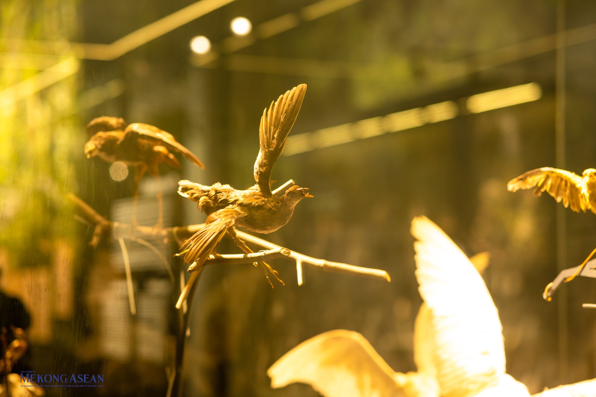 Nghệ thuật t&aacute;i hiện trong t&aacute;c phẩm của Ng&ocirc; Xu&acirc;n B&iacute;nh kh&ocirc;ng đơn thuần l&agrave; tả thực, thậm ch&iacute; ph&aacute; thực, &ocirc;ng kh&ocirc;ng thể hiện vật thể tĩnh, m&agrave; vật thể động với xu thế vươn xa, bay l&ecirc;n.