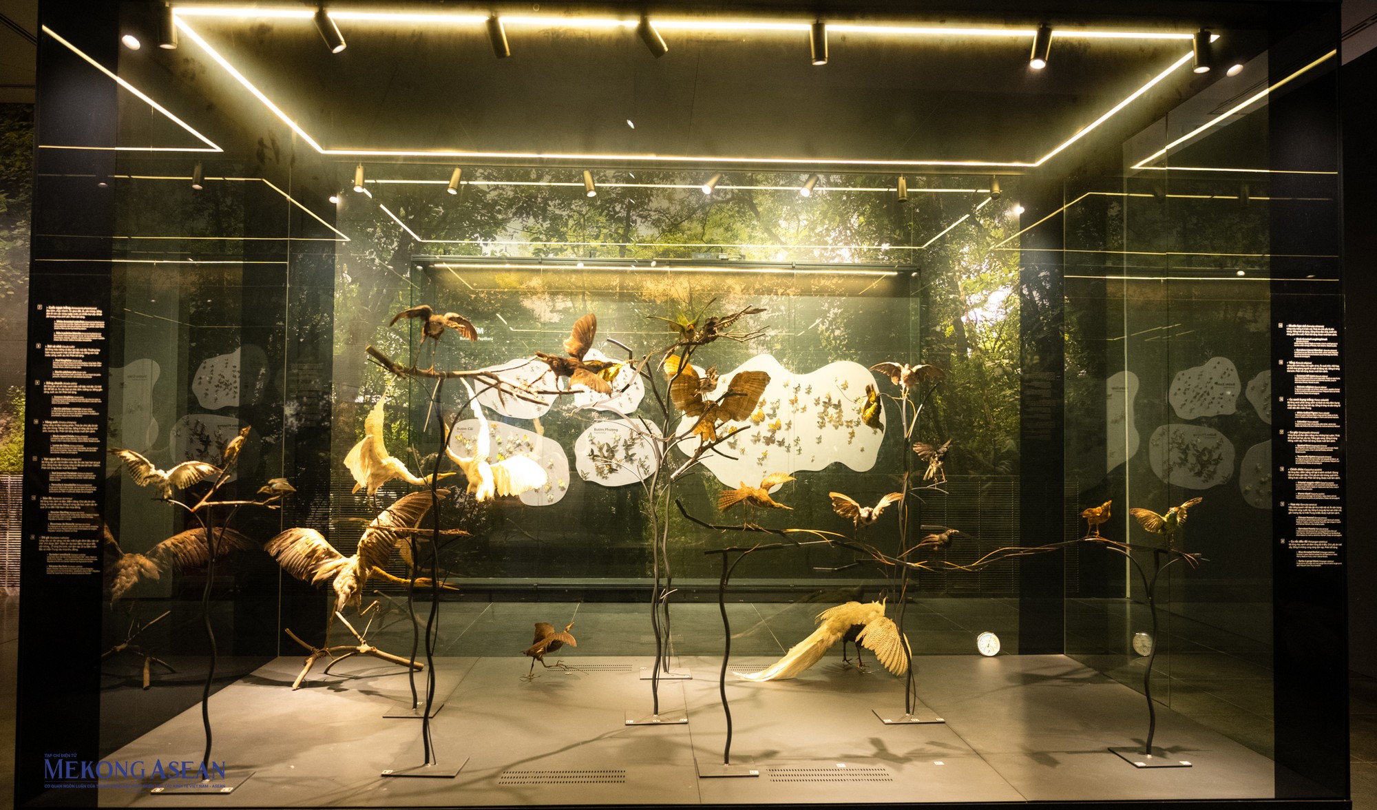 Kh&ocirc;ng gian trong t&aacute;c phẩm của Ng&ocirc; Xu&acirc;n B&iacute;nh chuyển động, nhảy m&uacute;a, ph&aacute; vỡ sự tĩnh tại vốn c&oacute; của nghệ thuật đi&ecirc;u khắc.