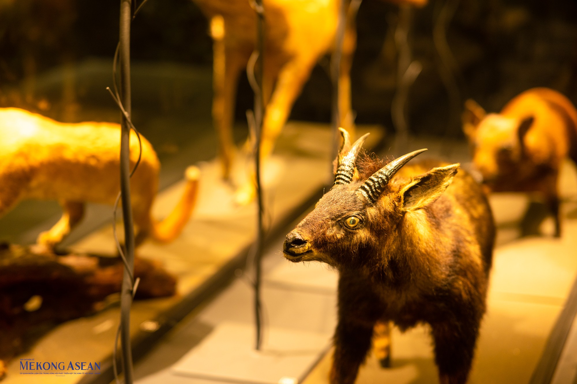 Trong kh&ocirc;ng gian triển l&atilde;m nghệ thuật, mỗi t&aacute;c phẩm l&agrave; một bản thể sống động.